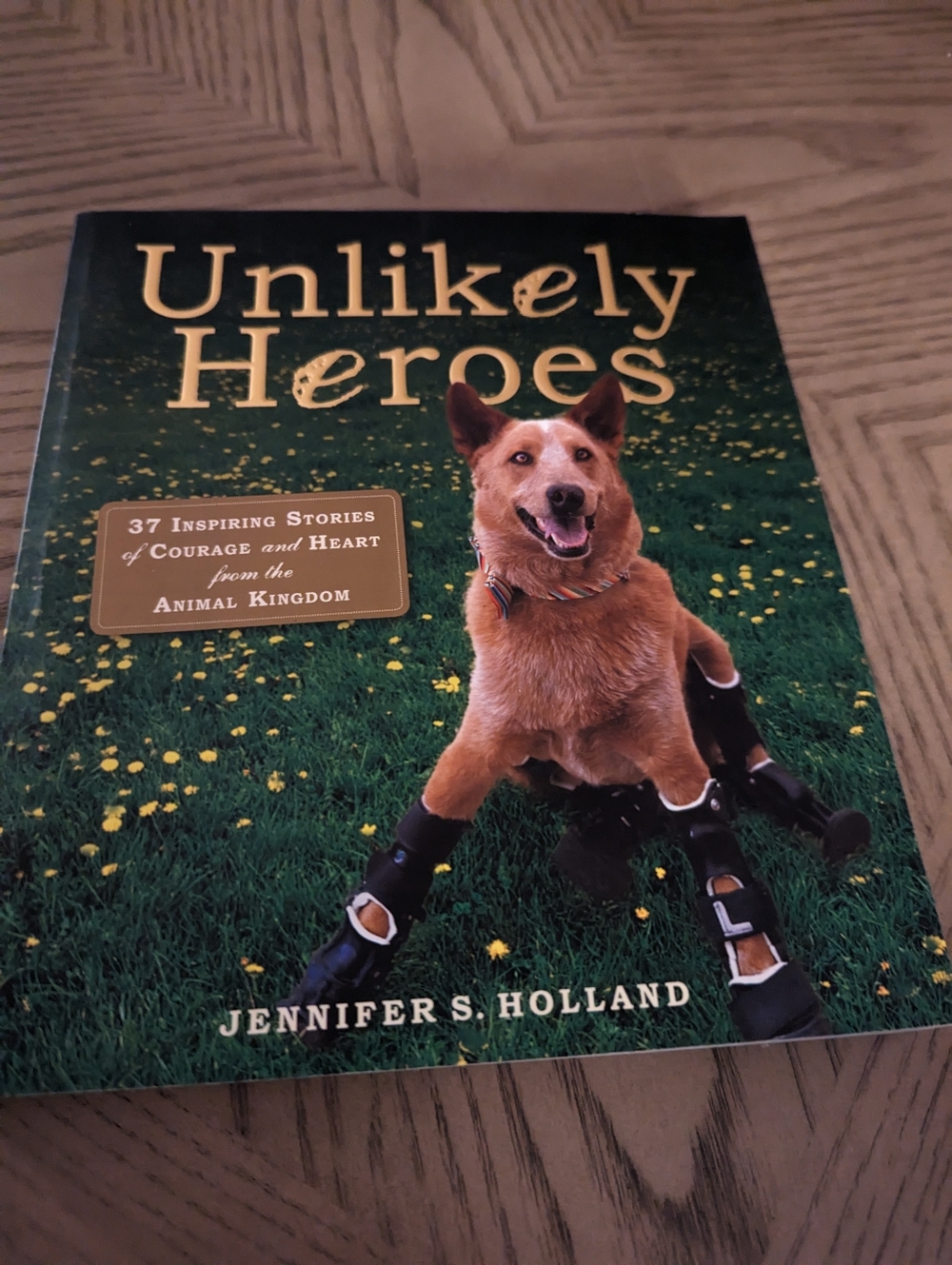 Animal Heroes Book